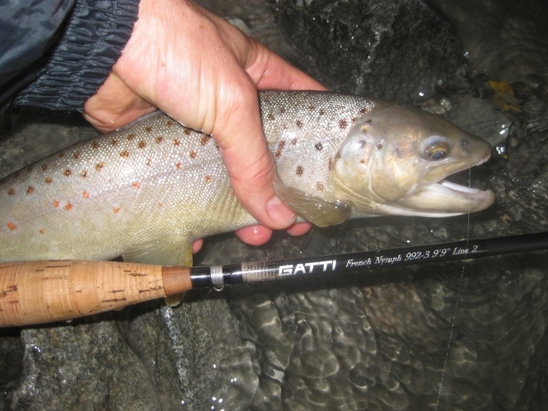 Testimonianze - Gatti Fly Rods