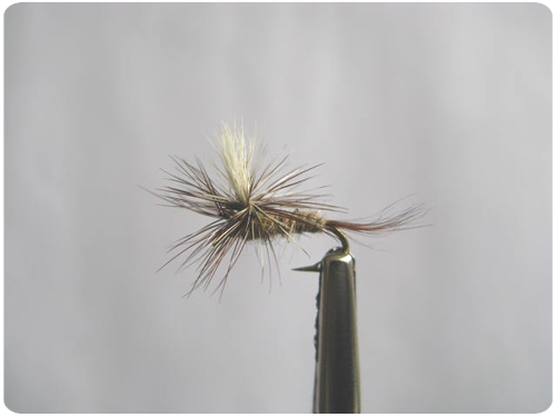 Mayfly | Mosche Secche | Mosche Artificiali - Foto 14